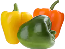 Paprika